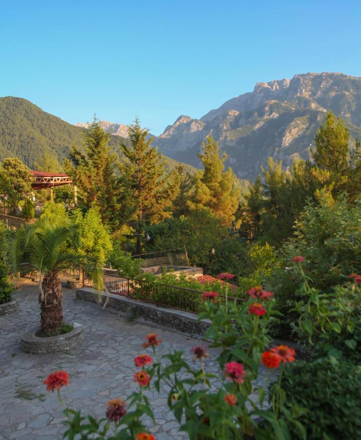 Konitsa Panorama Hotel Bagian luar foto