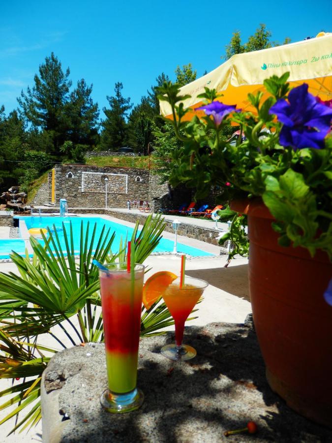 Konitsa Panorama Hotel Bagian luar foto