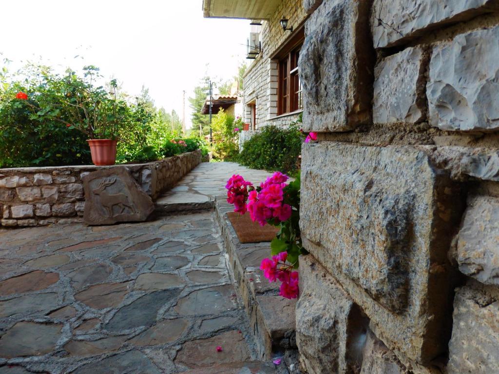 Konitsa Panorama Hotel Bagian luar foto